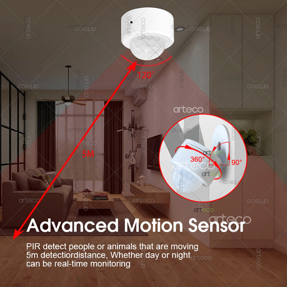 Ewelink Zigbee PIR Motion Sens - đánh giá và giá Home Security Alexa