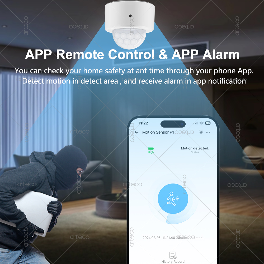 Ewelink Zigbee PIR Motion Sens - đánh giá và giá Home Security Alexa