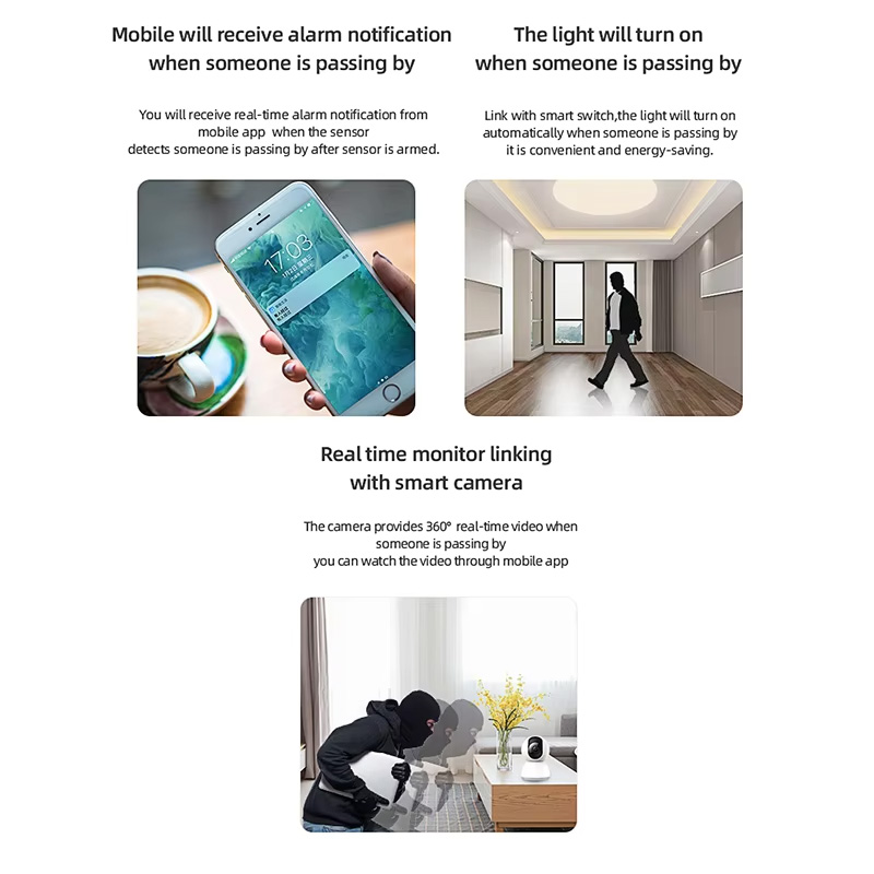 Smart PIR Motion Sensor WiFi Z - đánh giá và giá Home Security Alexa