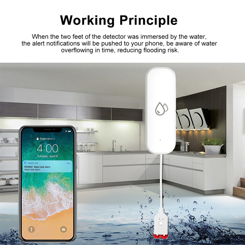Tuya WiFi Water Leakage Alarm  - đánh giá và giá Home Security Alexa